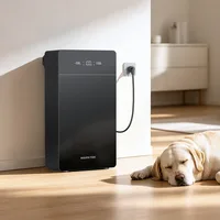 M Max pic5